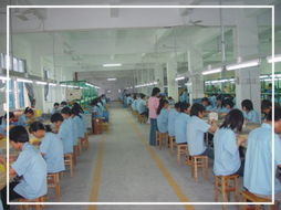 深圳電子產業中的榮華達電子廠 專業與創新的代表